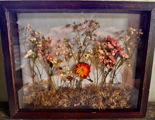 8x10 Dried Flower Shadow Box – 3D Botanical Wall Art, Cottagecore Floral Home Decor